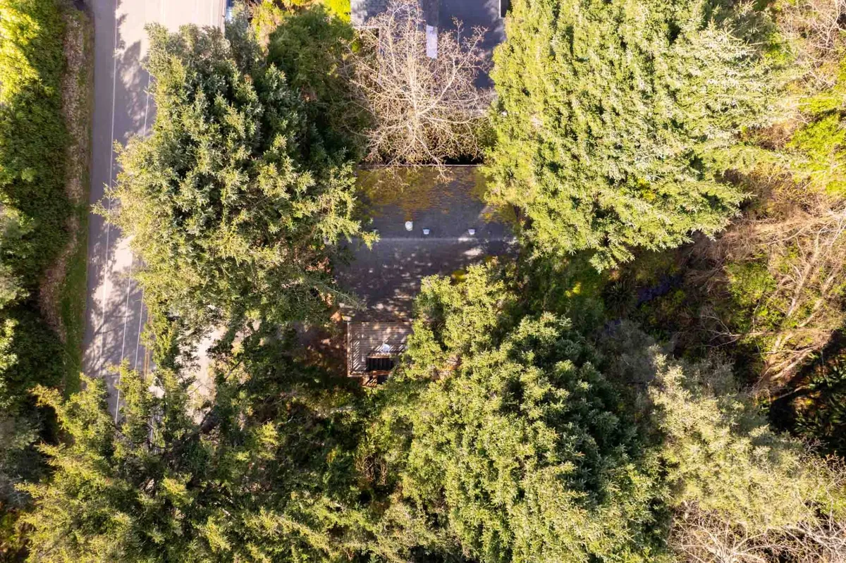 An exterior view of Hemlock House nestled among tall trees, with the roof, patio area, and shaded surroundings visible. The peaceful setting highlights the home’s direct connection to nature and proximity to outdoor relaxation spaces.