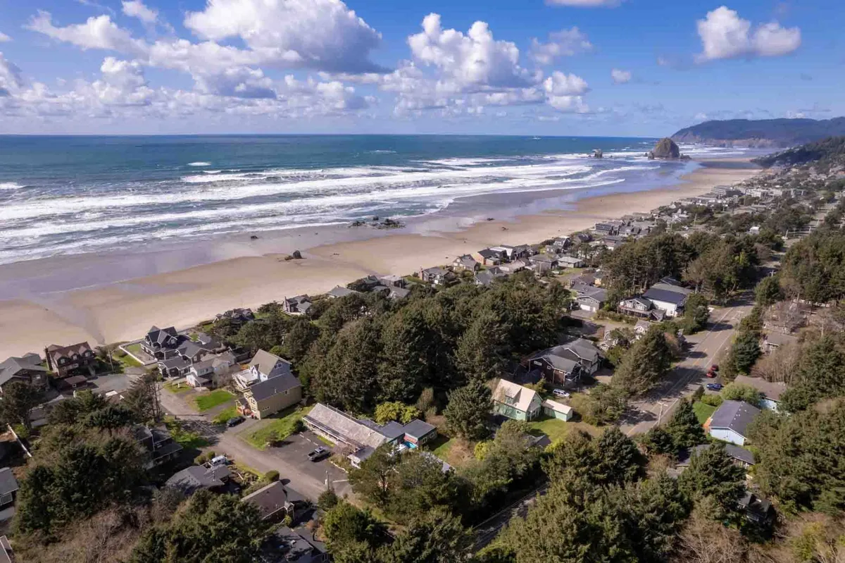 A scenic coastal view with ocean waves, striking rock formations, and homes nestled among coastal trees. The beach is inviting for walks, play, and exploration, catching the spirit of coastal living with easy access for pet adventures.