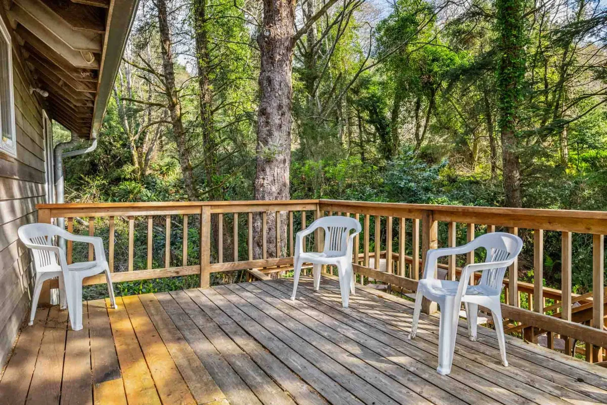 A serene view of a wooden deck nestled among tall trees, with plastic chairs arranged for relaxation. The surrounding foliage creates a calm, inviting atmosphere, suggesting space for outdoor lounging and quiet moments with pets.